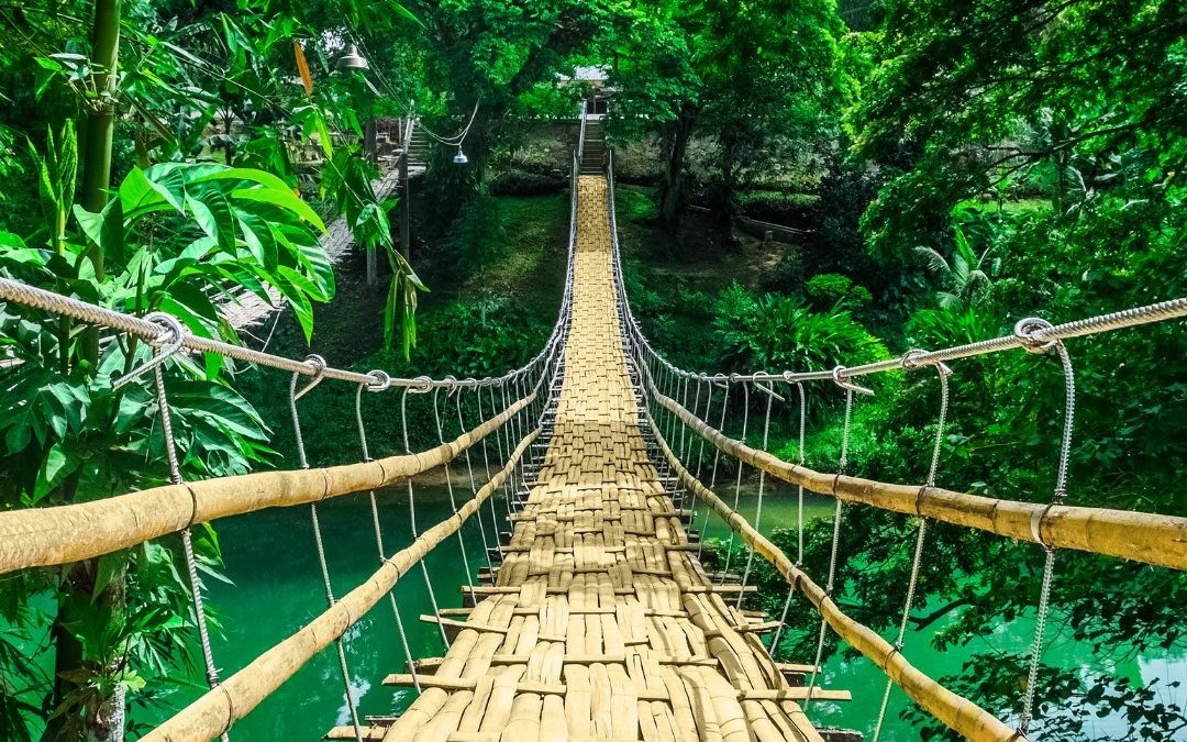 The True Cost of a Bamboo Architecture Course: Are Luxury Programs Worth It?