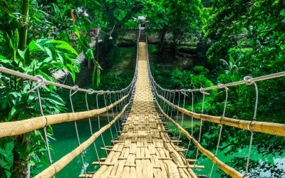 The True Cost of a Bamboo Architecture Course: Are Luxury Programs Worth It?