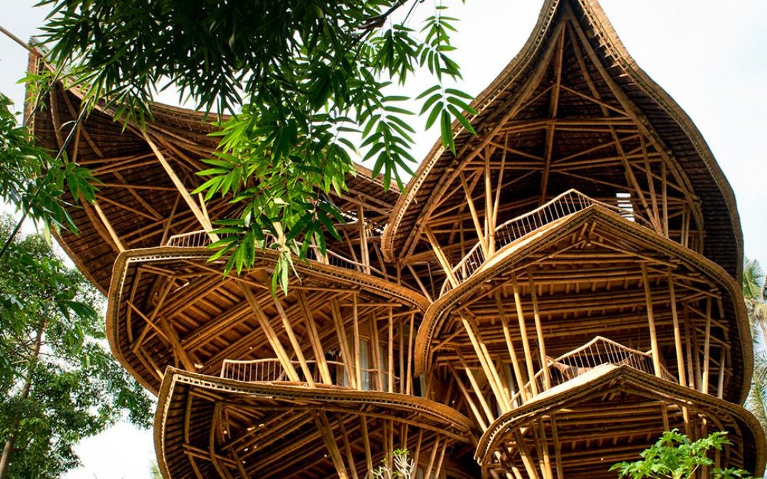 Designing Tropical Event Spaces: Why Bamboo is the Ultimate Biophilic Material