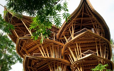 Designing Tropical Event Spaces: Why Bamboo is the Ultimate Biophilic Material