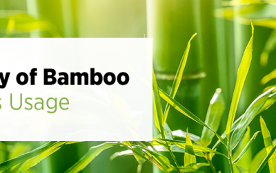 History of Bamboo and Its Usage