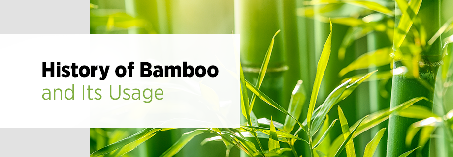 History of Bamboo and Its Usage