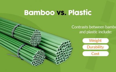 PLASTIC VS. BAMBOO