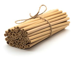 Bamboo Straws: 8 Incredible Why We Need To Use