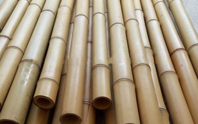 Bamboo Poles – Stronger Than You Think