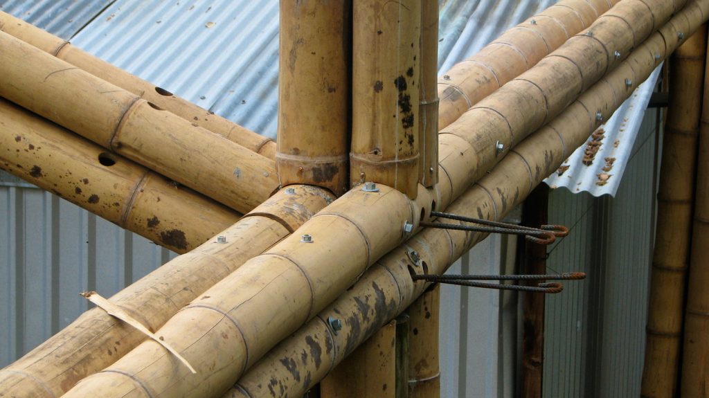 Why Bamboo 5 Impressive Facts About Bamboo