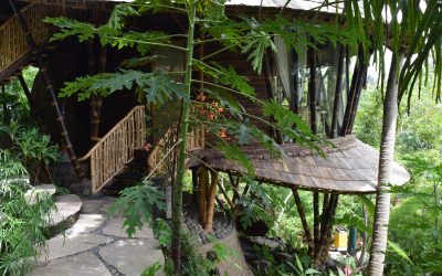 In Bali, Bamboo Architecture Offers Model for a Sustainable Future