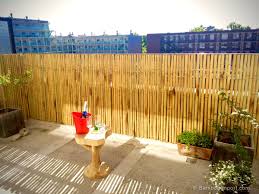 bamboo landscaping ideas