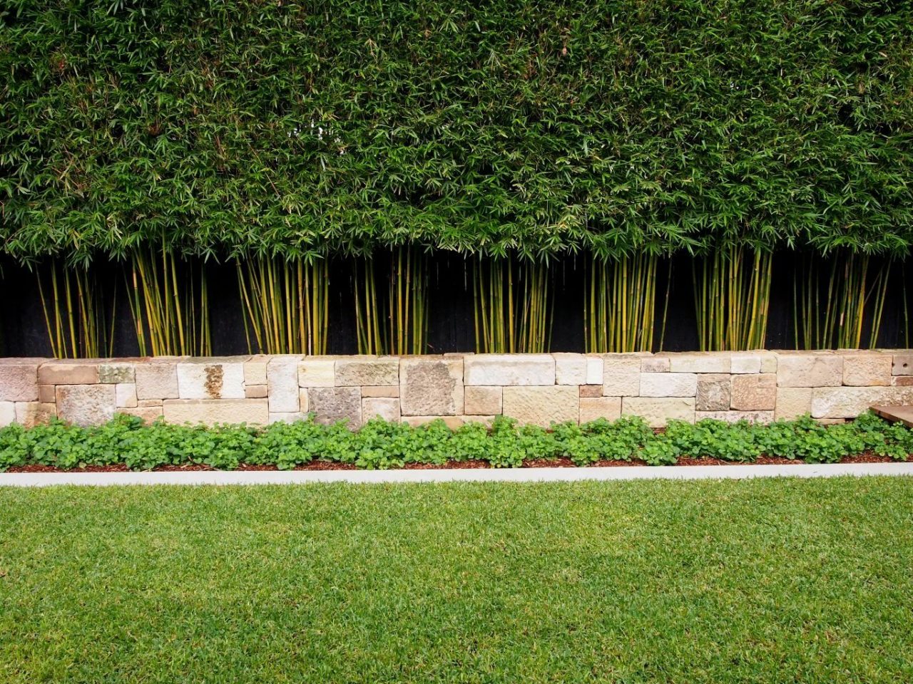 How To Create Your Own Bamboo Hedge