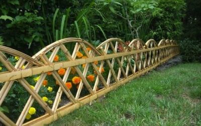 Discover the Pros And Cons Of Having a Bamboo Garden