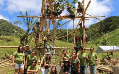 10 Real Reasons to Attend a Bamboo Workshop in the Philippines (And What to Expect)