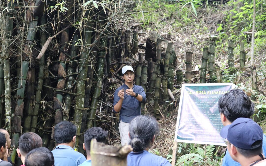 Bamboo as a Cash Crop: Empowering Rural Farmers in Mindanao