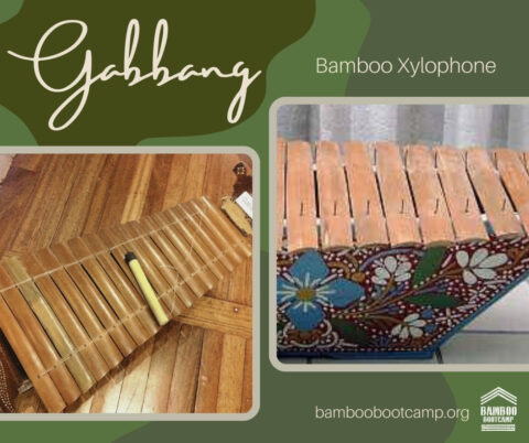 Amazing Philippine Indigenous Bamboo Musical Instruments – Bamboo Music ...