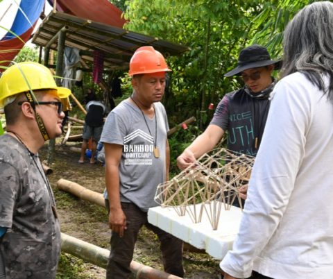 Illustration of Bamboo Board V New Materials Construction