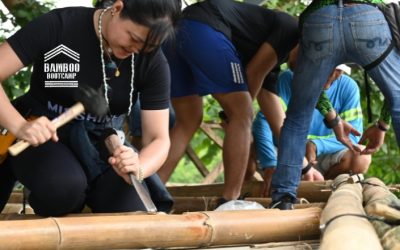 Ditching the Desk: Why Gap Year Students are Choosing Hands-On Eco-Construction